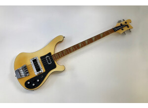 Rickenbacker 4001 (11755)