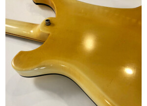 Rickenbacker 4001 (98323)