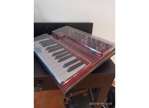 Korg Monologue (35784)