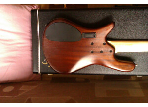 Spector NS-2J (17888)