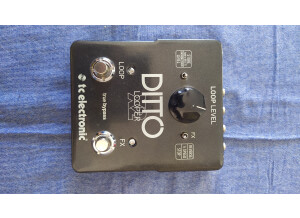 TC Electronic Ditto X2 (21726)