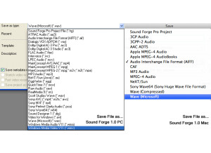fig 29 Sauvegarde types de fichiers PC vs Mac