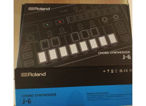 Roland J-6 Chord Synthesizer (2968)