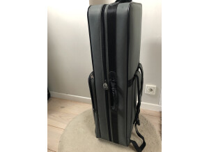 Cort Artisan B5 Element (44376)