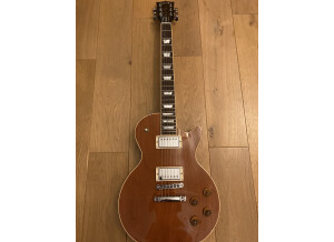 Gibson Les Paul Standard Mahogany Top (87096)
