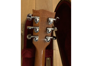 Gibson Les Paul Standard Mahogany Top (12289)