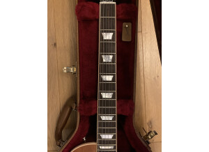 Gibson Les Paul Standard Mahogany Top