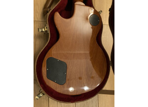 Gibson Les Paul Standard Mahogany Top (9824)