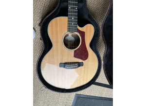 Gibson Parlor Rosewood AG 2018