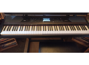 Korg HAVIAN-30 (2209)