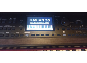 Korg HAVIAN-30 (30084)