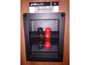 Polk Audio TSI 300
