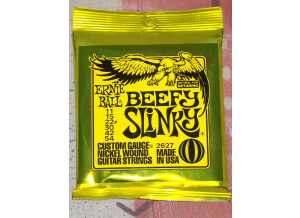 Ernie Ball Nickel Wound Electric Slinky 6-String (55246)