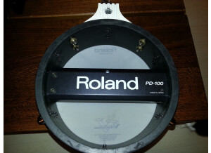Roland PD-100 (25173)