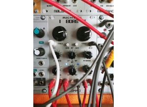 Malekko Richter Dual Borg (1305)