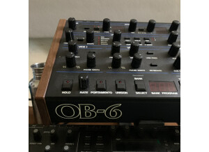 Dave Smith Instruments OB-6 Desktop (42655)