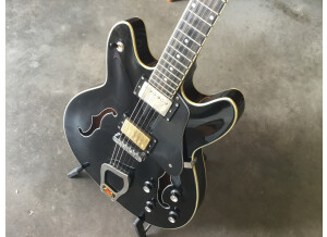 Hagstrom Viking (11654)