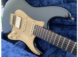 Schecter Nick Johnston USA Signature (13892)