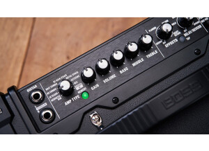 Boss Dual Cube Bass LX