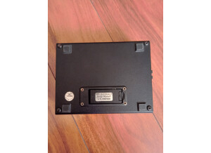 EBS MicroBass II (33355)