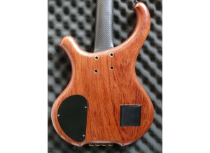 Schack B2 carbon (89366)