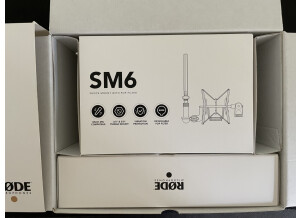 RODE NT1 (2013) (25755)