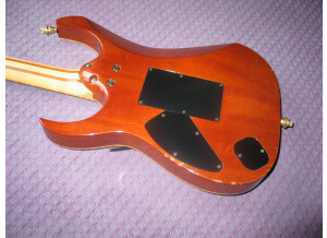 Ibanez J-Custom RG5 - Vintage Violin