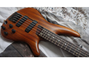 SDGR 3005 corps recto 1