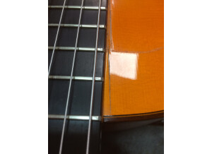 Blackstar Amplification ID:Core Stereo 100 (39104)
