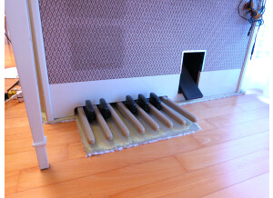 ORGUE 03
