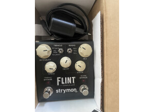 Strymon Flint (38616)