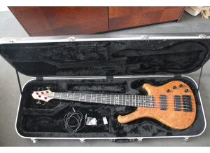 WSL Guitars Play Me Fonky 5 (74958)