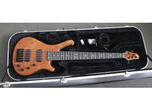 WSL Guitars Play Me Fonky 5 (8545)