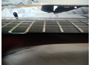 Parker Guitars PM-10