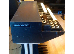 Hammond L100 P (78801)