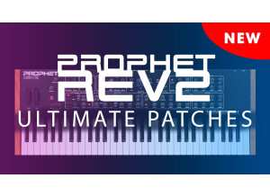 Dave Smith Instruments Prophet Rev2 Module 16 voix