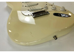Fender Eric Clapton Stratocaster (75131)