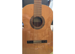 Alhambra Guitars 1C (81191)