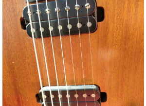 Chapman Guitars ML-7 S (80709)
