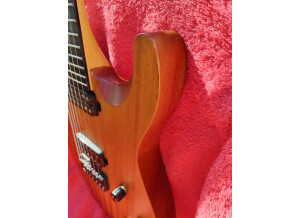Chapman Guitars ML-7 S (44221)
