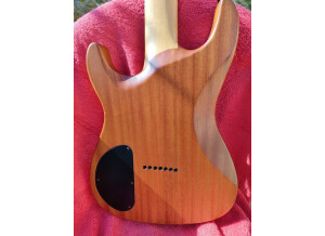 Chapman Guitars ML-7 S (12994)