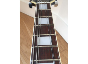 Ryan Guitars Les Paul (32707)