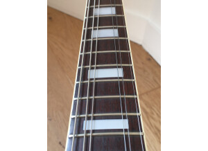 Ryan Guitars Les Paul (38088)