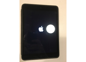 Apple iPad mini 3 (82662)