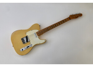 Fender Telecaster (1969) (937)