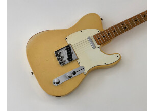 Fender Telecaster (1969) (23511)