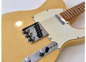 Fender Telecaster (1969) (20487)