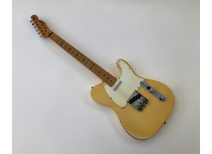 Fender Telecaster (1969) (73381)
