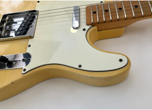 Fender Telecaster (1969) (66564)
