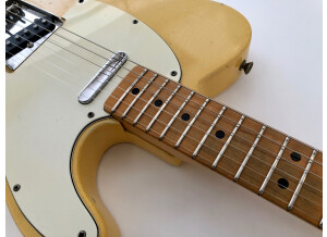 Fender Telecaster (1969) (39706)